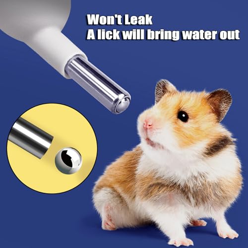 125ml Guinea Pig Water Bottle/Feeder for Hamsters/Hedgehogs/Gliders/Rabbit/mouses/Other Small Pets and Animals,Suitable for Cages, Boxes or Wall-Mounted (Grey, 125ml) - color: Grey