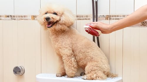 CHI for Dogs Soap Dispensing Palm Brush, Handheld Dog Bathing Scrubber with Built-In Shampoo Dispenser, Soft Rubber Bristles for Massaging and Deep Cleaning All Dog Coat Types, Red | Built-in shampoo dispenser, soft rubber bristles, massages while deep cl