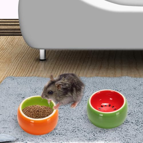 Hamiledyi 2PCS Hamster Bowl Ceramic Food Water Feeding Dish for Dwarf Syrian Hamsters Gerbils Rats Mice Sugar Glider
