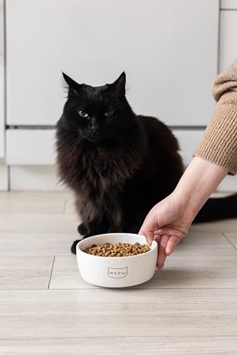 Pearhead Ceramic Meow Cat Bowl, Holds 12 oz, Modern Speckled White - color: Speckled "Meow", size: Single Bowl