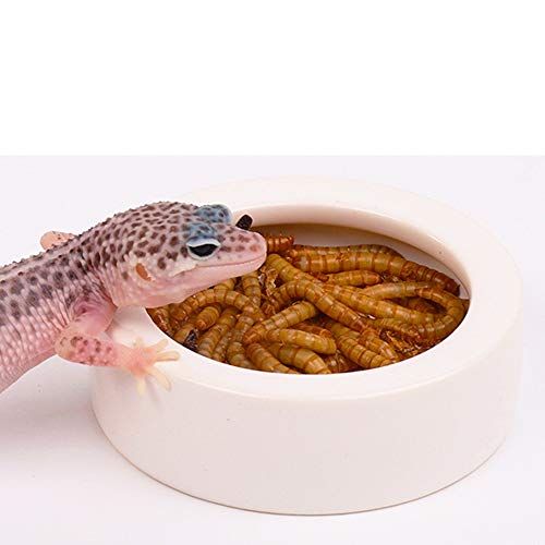 Reptile Food Water Bowl, 2 pcs Ceramics Worm Dish,Anti-Escape Reptile Water Feeder,Mealworm Bowl for Lizard Gecko Bearded Dragon, (S,M,L) (Medium) - size: Medium