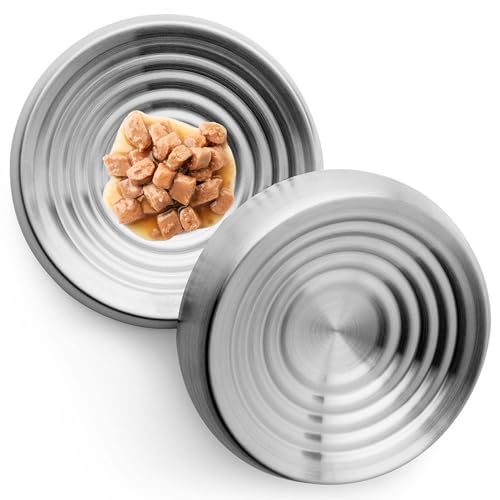 CatGuru Cat Bowls, Whisker Friendly Food Bowl for Indoor Cats, Reliefs Whisker Fatigue, Wide Kitten Dish, Non Slip Pet Dishes, Shallow Pet Plates (Stainless Steel, (Pack of 2)) - color: Stainless Steel, size: Dish - Set of Two