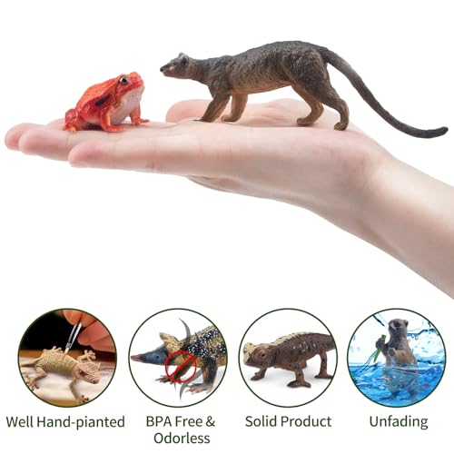 Toymany 12PCS Madagascar Animal Figurines Set, Realistic Lemur Jungle Animal Toys Set Includes Chameleon, Tortoise,Gecko,Fossa,Sifaka -Educational Forest Animals Figure Toy Collection for Kids Adults - style: Jungle Animal-1