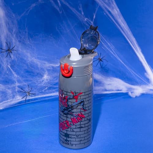 Zak Designs Marvel Spider-Man Sage 19oz Leak-Proof Straw Kids Water Bottle | BPA Free, Insulated Stainless Steel, Cupholder Friendly, Dishwasher Safe, Lid Lock, Handle, For School, Home, Travel, Outdoor - color: SpiderMan (Sage)