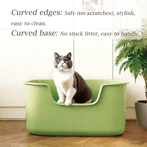 Large Cat Litter Box with High Sides, Side Entry Open Top Deep Tall Litter Pan, Kitty Litter Box for Indoor Small and Medium Cats, Green (Anti-Splashing) 19.7" L x 15.4" W x 8.6" H - color: Green