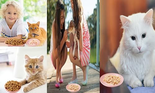 Cat Food Bowl Set Shallow Plastic Whisker Free Flat Wet Food Dishes | Flat shallow plastic cat food bowls, whisker fatigue-free for wet food, suitable for cats dogs small animals - color: 4 pcs pink