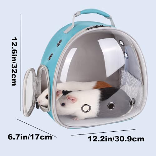 Portable Small Animal Backpack Travel Breathable Pet Carrier Bag Cages for Guinea Pig, Rabbit, Bearded Dragon, Squirrel, Tortoise, Bird, Lizard, Sugar Glider - color: Green