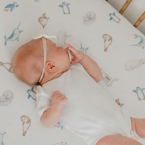 Arctic Wonder Premium Crib Sheet - color: Arctic Wonder