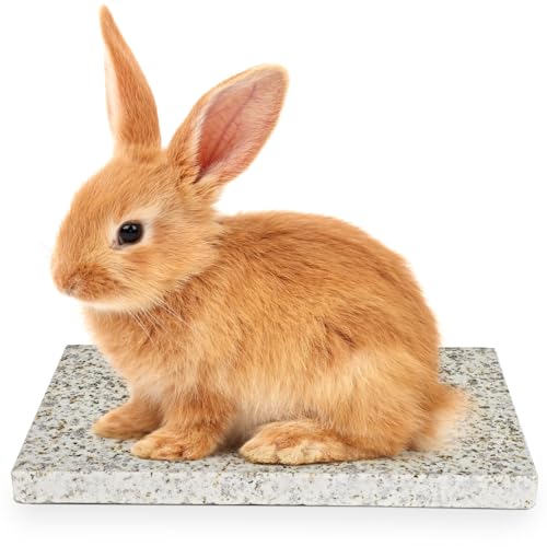Chinchilla Cooling Stone Durable Cool Down Easy Clean in Hot Summer for Rabbit Hamster Guinea Pig Chinchilla Kitten Small Animals Spots of Gold-Grey