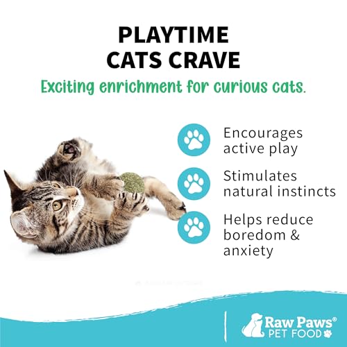 Raw Paws Catnip Balls for Cats (6-Count) - Interactive Indoor Cat Toy | Natural Compressed Natural Catnip - Cat Lick Balls - Catnip Roller Balls - Play & Enrichment Toy - Fresh Dried - No Additives