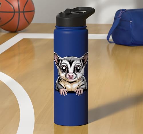 Sugar Glider Cute Peeking Marsupial Funny Animals Stainless Steel Insulated Water Bottle - color: Royal Blue