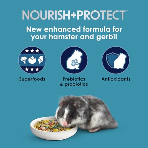 Kaytee Forti-Diet Pro Health Nourish+Protect Hamster and Gerbil Food, Comprehensive Nutrition Backed by Science, Digestive Health, Immune Support, 3 Pounds - size: 3 Pound (Pack of 1)