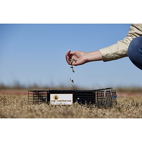 Rugged Ranch 2-Pack Chipmunkinator Multi-Catch Chipmunk Trap, Wire Cage, 14.5"x4"x14.5" Each - Live Catch-and-Release, 2-Door Humane Rodent Control, No-Poison Outdoor Use - color: Chipmunk, size: 2 Pack