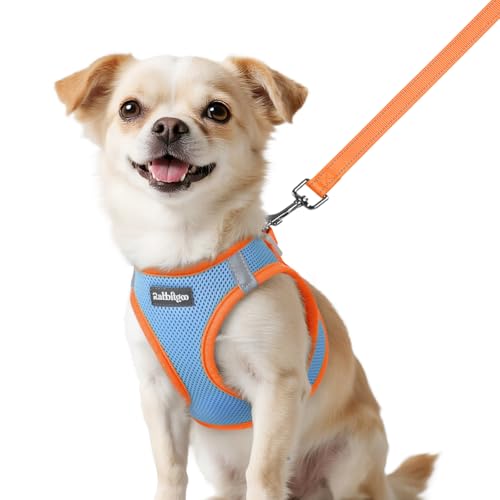 rabbitgoo Dog Harness Small Sized and Leash Set, Step in Soft Vest | Breathable Mesh, Easy Wear with Hook & Loop, Light and Reflective for Walking, Multi-colored, Blue & Orange, XXS - color: Blue & Orange, size: XXS (Chest: 12.4"-14.2")