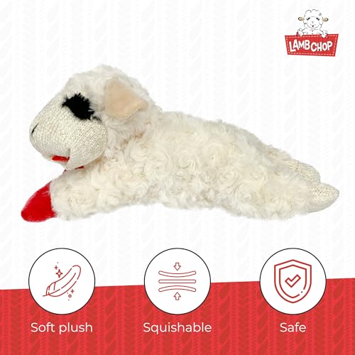 Multipet Lamb Chop Dog Plush Toy - Squeaky Toy for Small & Medium Dogs - Extra Soft Plush - Stuffed Animal for Cuddling & Playing (10", Cream, 5 Squeakers) (Pack of 2) - size: 10" (Pack of 2), style: Lambchop