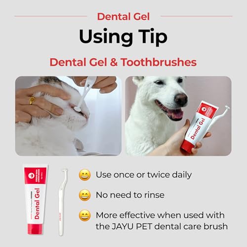 JAYU PET Dental Gel Dog Cat Toothpaste, 2.8 Ounce | Removing Plaque and Tartar, Teeth Cleaning & Breath Freshener, Puppy Kitten Dental Care - color: Toothpaste, size: 1 Count (Pack of 1)