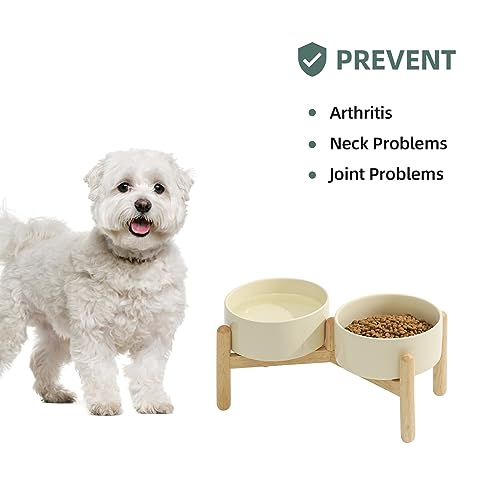 Havniva Elevated Dog Bowls Ceramic Dog Bowls with Stand, Dog Food Bowl | 6.1” Raised Dog Bowls with Non-Slip Wood Stand, Dog Food and Water Bowl Set, Double Dog Feeding Bowls for Small & Medium Dogs - color: 2 Bowls+Stand - Light Yellow, size: 6.1inch