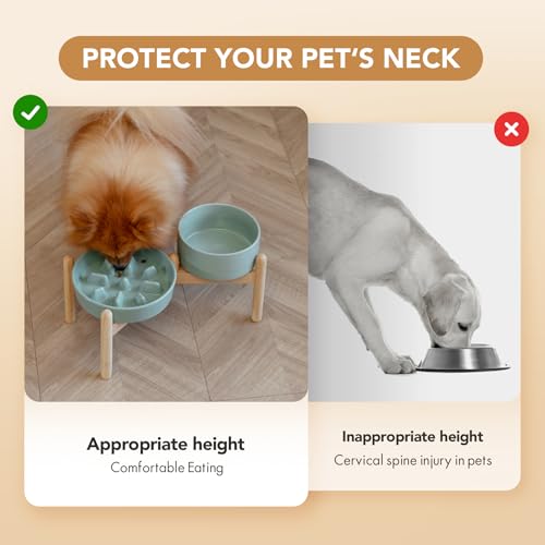 Havniva Elevated Slow Feeder Dog Bowls, Ceramic Dog Bowl Slow Feeder Set | 1.2 Cups Raised Slow Feeder Dog Bowl for Small Breed, 6.1” Dog Water Bowl with Wooden Stand, Puzzle Dog Food Bowl, Non-slip - color: Light Green