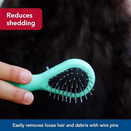 Coastal Pet Li'l Pals Dog Combo Brush - Dog Grooming Brush for Small Dogs - One Size