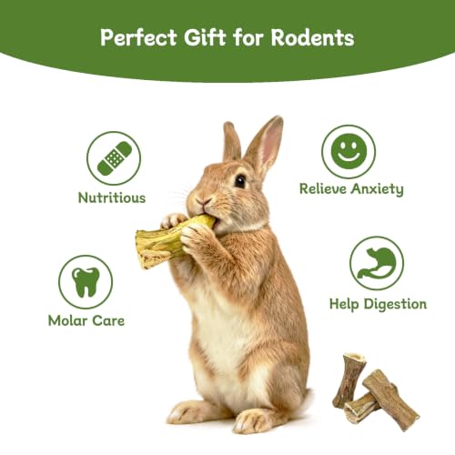 Bunny Chew Toys for Teeth Guinea Pig Treats Papaya Wood for Rabbit (3.5oz) | bunny supplies,rabbit enrichment toys,rabbit stuff,for bunny guinea pig chinchilla Hamster rabbit toys for bunnies boredom - size: 3.5oz（C）