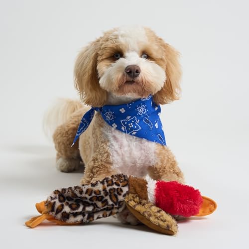 SPOT Skinneeez Mini Mallard Duck 13 Inch Stuffing-Free Plush Squeaky Dog Toy – Soft Interactive Toy for Small and Medium Dogs – Mess-Free Play for Light & Moderate Chewers – Assorted Styles - style: Mini Mallard Duck
