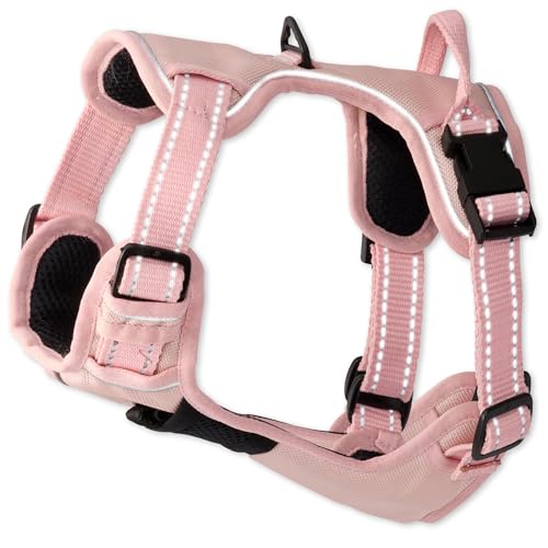 Pet Passion MAX - THE Hardy Reflective Harness, Pink, X-Small - color: PINK, size: X-Small (5-12 lbs)