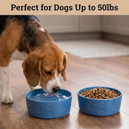 Ceramic Dog Bowl Set of 2 w/ Anti-Skid Base 6.5"W x 2.5"H, 3.8 Cup Capacity | Thick Ceramic, Dishwasher Safe, Anti-Skid Rubber Base, 3.8 Cups per Bowl, Ceramic Food & Water Bowls Set of 2 for Medium Dogs - color: Blue, size: Medium