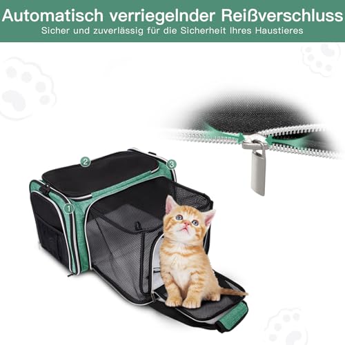 BAGLHER Cat Carrier Bag,Airline Approved Pet Carrier Soft Side Pet Travel 5 Sides Open Doors 3 Sides Expandable Foldable Dog Carrier with Fleece Pad - color: Green, size: 17.5"L x 12.0"W x 11.5"H