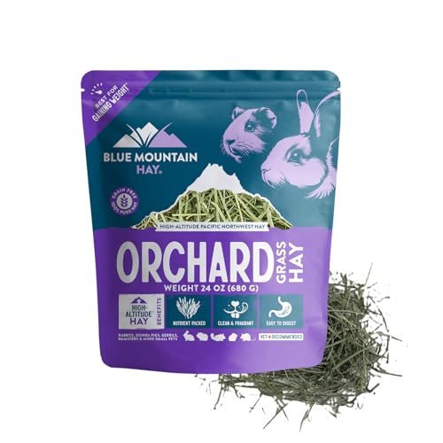 Blue Mountain Hay Orchard Grass Hay for Small Pets, High Fiber Feed, 24oz | Fresh Orchard Grass, High Fiber Pet Forage, Supports Digestion and Dental Wear, Sweet Aroma, Additive Free, Natural Foraging - size: 1.5 Pound (Pack of 1)