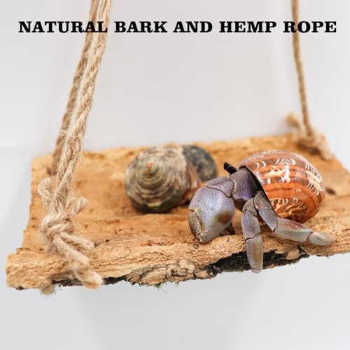 Oooct Hermit Crab Climbing Toy, Natural Wooden Reptile Swing Toy, Pet Cage Tank Aquarium Accessories for Hermit Crab Lizard Chameleon Hamster Guinea Pig Chinchilla Bird Parrot - size: Medium-7.8 × 5.9 Inch