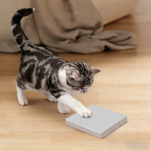 Balacoo Rabbit Scratch Foot Pads, Natural Small Animal Volcanic Stone Teeth Grinding Scratching Pad Chew Toy for Hamster, Guinea Pig, Gerbil, Chinchilla, Hedgehog
