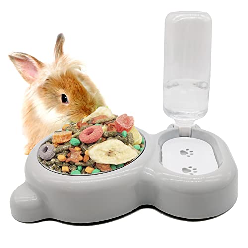 Tfwadmx Pet Double Dishes Rabbit Food Water Dispenser Set Cat Self Filling Bowls No Spill Dog Automatic Waterer Bottle Anti Gravity Feeder Cute Detachable Stainless Steel Bowl for Kitten Puppy Bunny - color: Grey