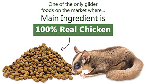 Exotic Nutrition Glider Essential 1.75 lb | Coconut Flavor | Zero Fillers… - size: 1.75 Pound (Pack of 1)
