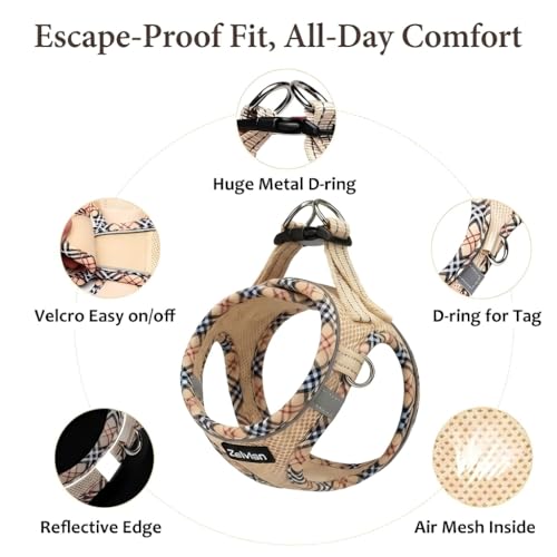 Escape Proof Cat Harness and Leash, Adjustable Vest, Beige, XXS | Soft Reflective Mesh with Dual D-Rings, Step-In Fit, Quick Buckle and 5 ft Leash for Outdoor Walks, Training and Vet Visits - color: Beige, size: XXS