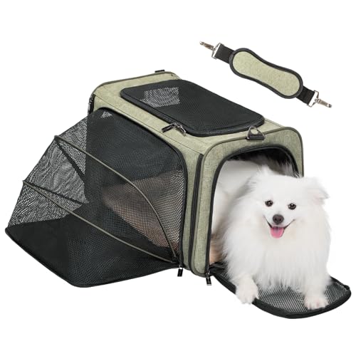 Petsfit Large Expandable Cat Carrier for Travel, Up to 18 lb | 19 x 12 x 12 in; roomy expandable space with a reinforced frame, locking zippers, interior safety tether and large pocket. - color: Green, size: 19"L x 12"W x 12"H