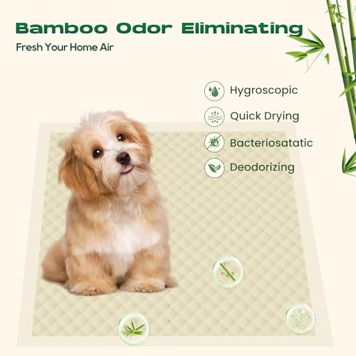 Bamboo Small Puppy Pads Pee Pads for Dogs 22"x22" 100 Count | Bamboo Training Pads Deodorizing Leakproof Quick Drying Dog Pee Pads Super Absorbent Disposable Pee Pads for Dogs Puppies - size: 22 x 22 inches (100 Count)