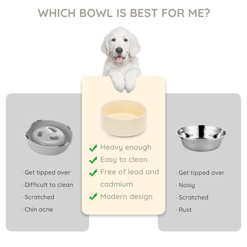 SPUNKYJUNKY 13.5OZ Ceramic Dog and Cat Bowl, Modern Cute Weighted Food Water Bowl for Replacement Beige (2 Pack) - color: Beige, size: 1.7 CUPS × 2