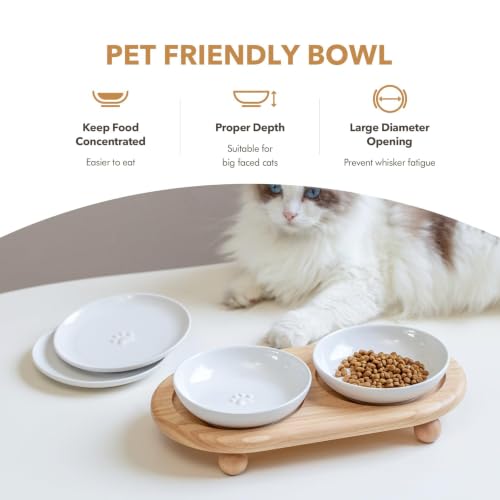 Havniva Elevated Cat Bowls, Cat Food and Water Bowl Set, Ceramic Cat Bowl | Raised Cat Food Bowls, Whisker Friendly, 5.6” Shallow Cat Dishes + 6” Wide Cat Plates, Non-Slip Wood Stand, Two Heights - color: White, size: 2 Bowls+2 Dishes