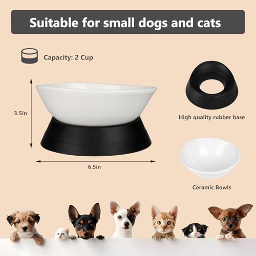 French Bulldog Food Bowl- Slanted Tilted Pug Food Water Bowl,Cat Bowl- Feeder for Frenchie/Shih Tzu/Flat Faced Small Dogs/Puppies/Cats (White（Ceramic）, 2 Cup) - color: White Bowl（Ceramic）, size: 2 Cup
