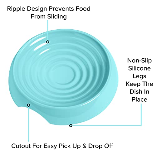 CatGuru Cat Bowls, Whisker Friendly Food Bowl for Indoor Cats, Reliefs Whisker Fatigue, Wide Kitten Dish, Non Slip Pet Dishes, Shallow Pet Plates (Aruba, (Pack of 2)) - color: Aruba, size: Dish - Set of Two