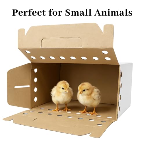 12-Pack Cardboard Pet Cages, 11x8x6 inches, Suitable for Small Animals, Hamsters, Gerbils, Birds, and Reptiles; Disposable Small Animal Cardboard Pet Cages