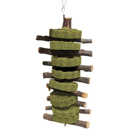 Vila Rabbit Chew Stick, Hanging Treat, Apple Chew Sticks with Round Grass Cakes, Oral Care and Gums, Suitable for Rabbits, Chinchillas, Guinea Pigs and Parrots, 1-Piece