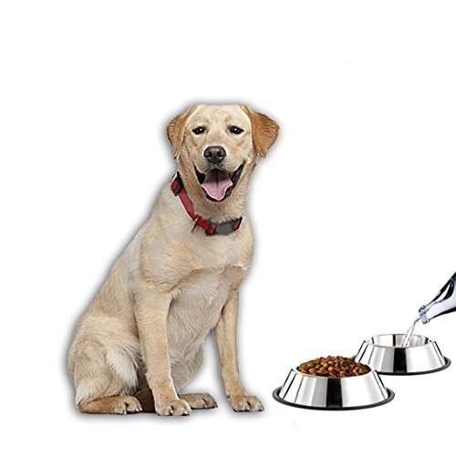 Mlife Stainless Steel Dog Bowl with Rubber Base for Small/Medium/Large Dogs, Pets Feeder Bowl and Water Bowl Perfect Choice (Set of 2) - size: 8oz