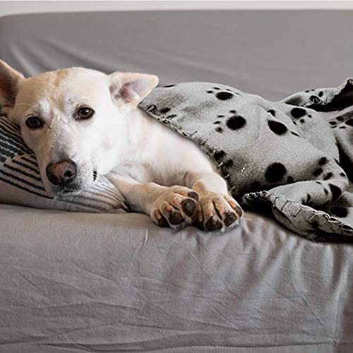 Comsmart Pet Blanket Dog Cat Soft Fleece Blankets Sleep Mat Pad Bed Cover with Paw Print for Kitten Puppy and Other Small Animals, 6 Pack of 39x31 Inches - size: 6 Pack of 39x31 Inches