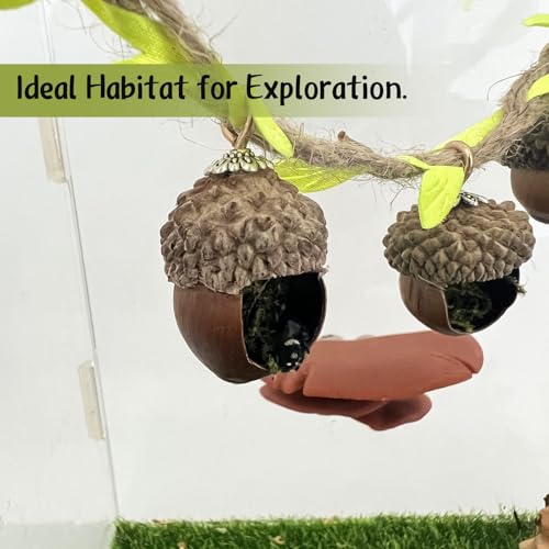 Jumping Spider Hide, Magnetic Climbing Rope Bridge, Handmade Real Acorn Hideaway Cave, Spider Platform, Decorative Accessory for Small Reptile Enclosures (Style 2) - style: Style 2