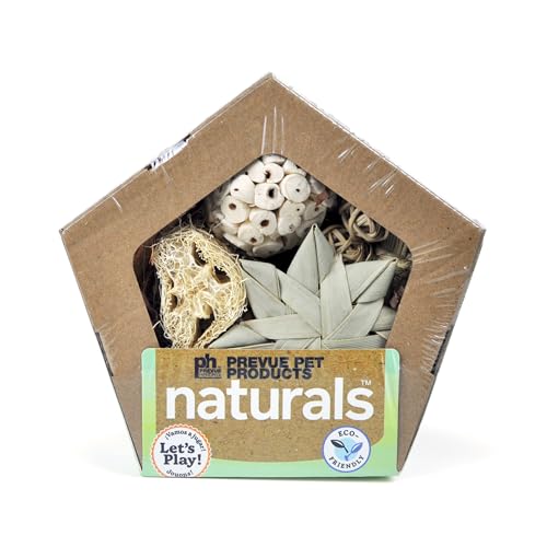 Prevue Pet Products Small Pentagon Forage 'n Play Box - Natural Small Animal Foraging Toy for Hamster, Gerbil, Guinea Pig, Rabbit, Rat, Mouse & Chinchilla Enrichment - size: Small