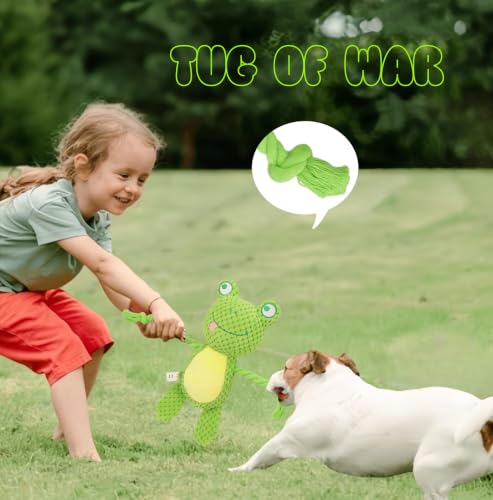 Plush Frog Dog Toy, Squeaky Interactive Tug Toy for Small Medium Dogs | Cute plush toy with sound features, designed for small and medium dogs, indoor play and daily entertainment - color: Green