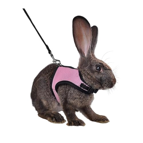 MANON ROSA Rabbit Harness and Leash Set - Adjustable Escape-Proof Training and Walking Gear for Guinea Pigs Bunnies Chinchillas Hamsters Ferrets Rats Kittens and Small Dogs Puppies Cats (Pink,L) - color: Pink, size: L