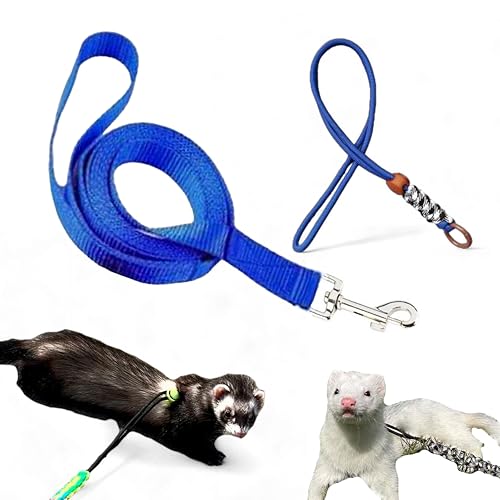 Ferret Leash Harness Adjustable Squirrel Sets, Leashes and Harnesses for Ferrets Guinea Pig Chinchilla Rat Dragon Bearded Small Animal, Pet Squirrel Ferret Accessories (Blue) - color: Blue