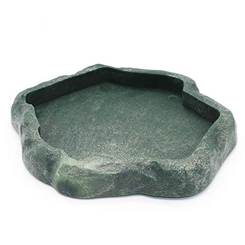 SLSON Small Reptile Feeder Terraium Bowl Plastic Shallow Reptile Feeder for Food and Water Feeding Dish for Lizard Gecko Junior Bearded Dragon,Small Green
